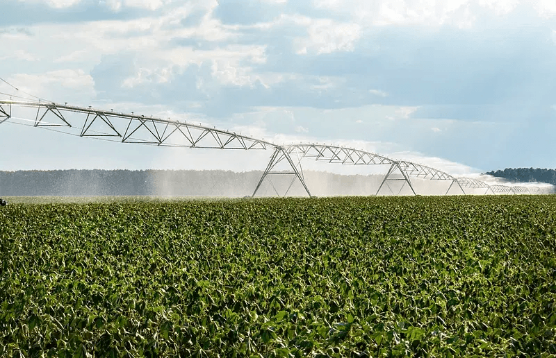 irrigation